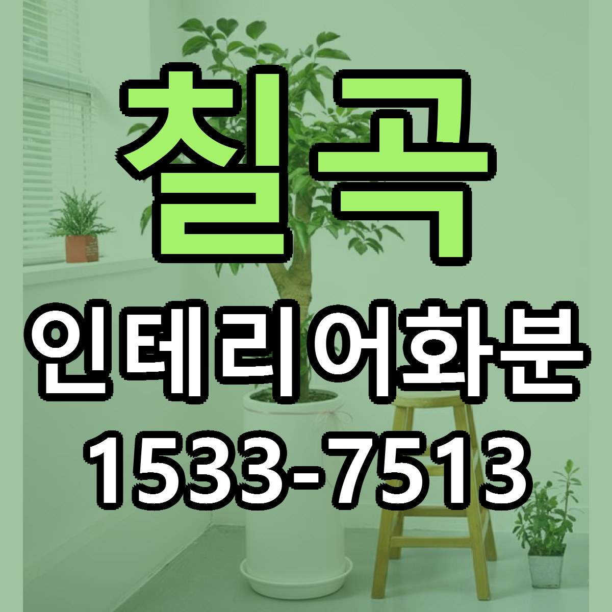 칠곡 인테리어화분 빠른배송 리본문구 가격 알뜰 비교