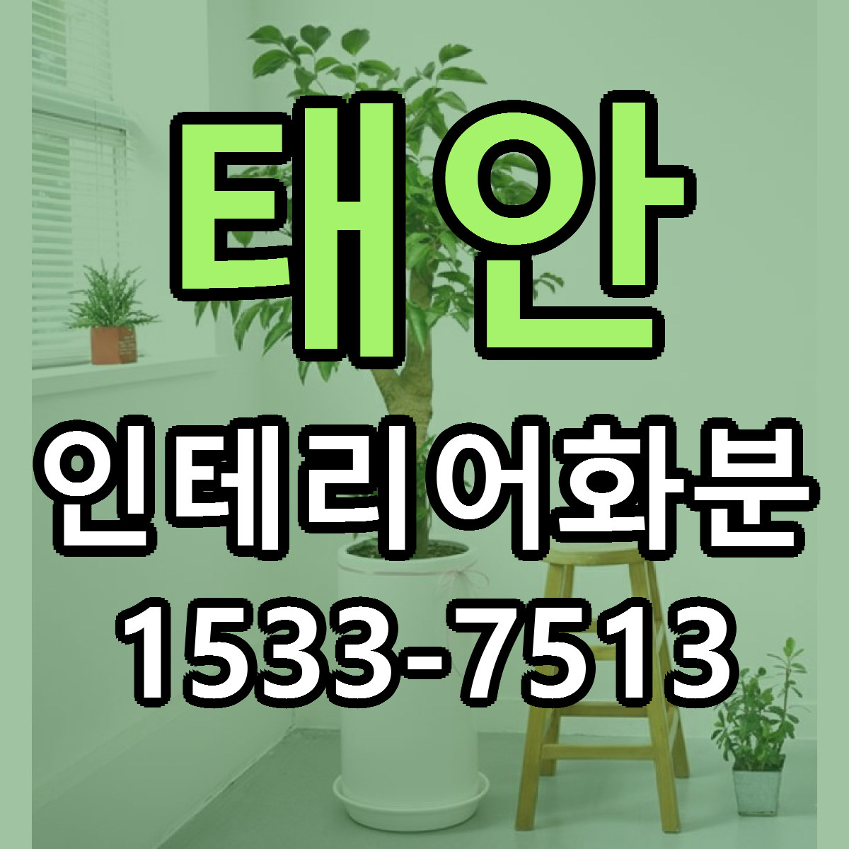 태안 인테리어화분 당일배송 싼곳 리본문구 안내