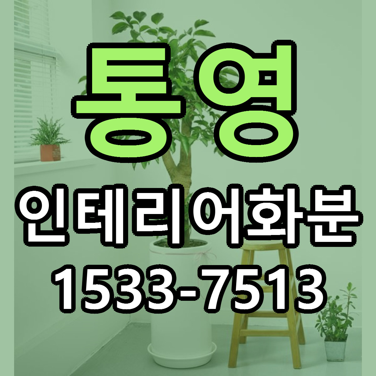 통영 인테리어화분 당일배송 빠른배송 싼곳 찾기