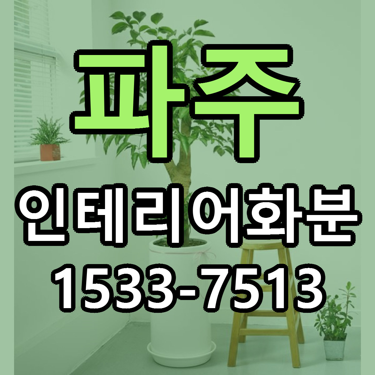 파주 인테리어화분 당일배송 리본문구 빠른배송 서비스