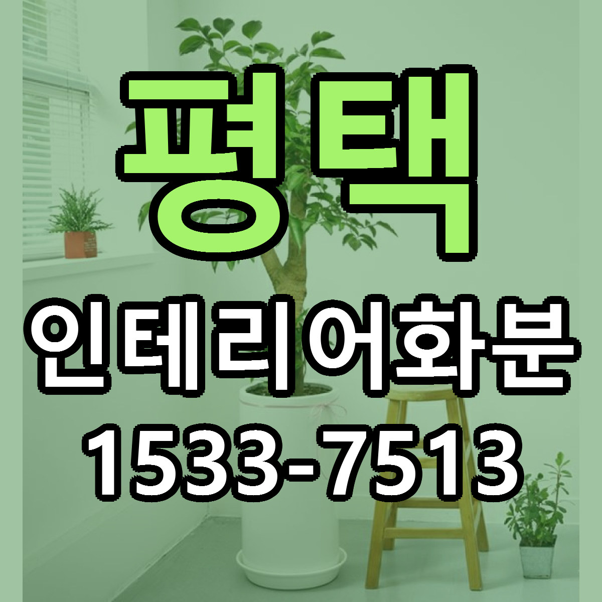 평택 인테리어화분 당일배송 저렴한곳 리본문구 추천