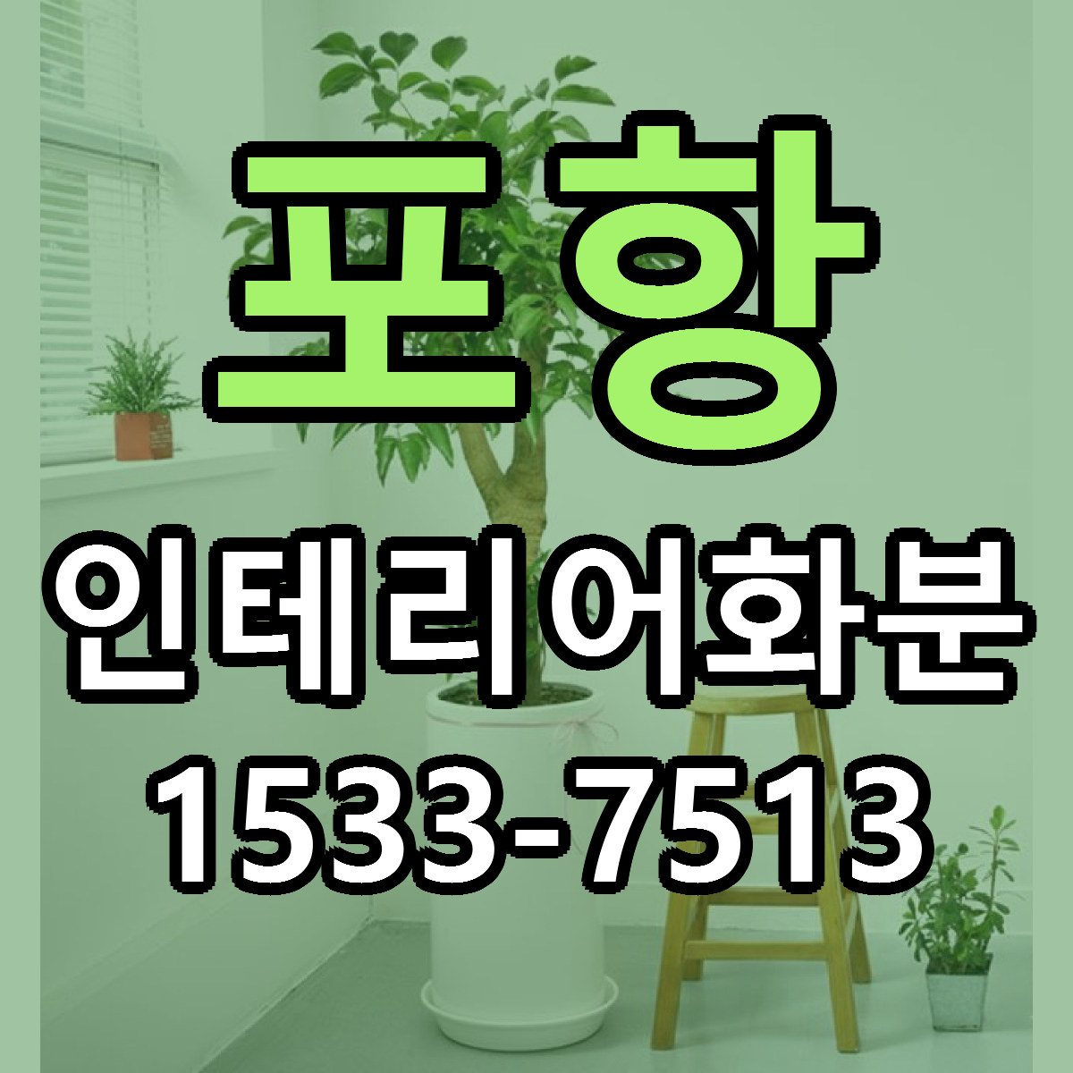 포항 인테리어화분 근처꽃집 빠른배송 가격 문의