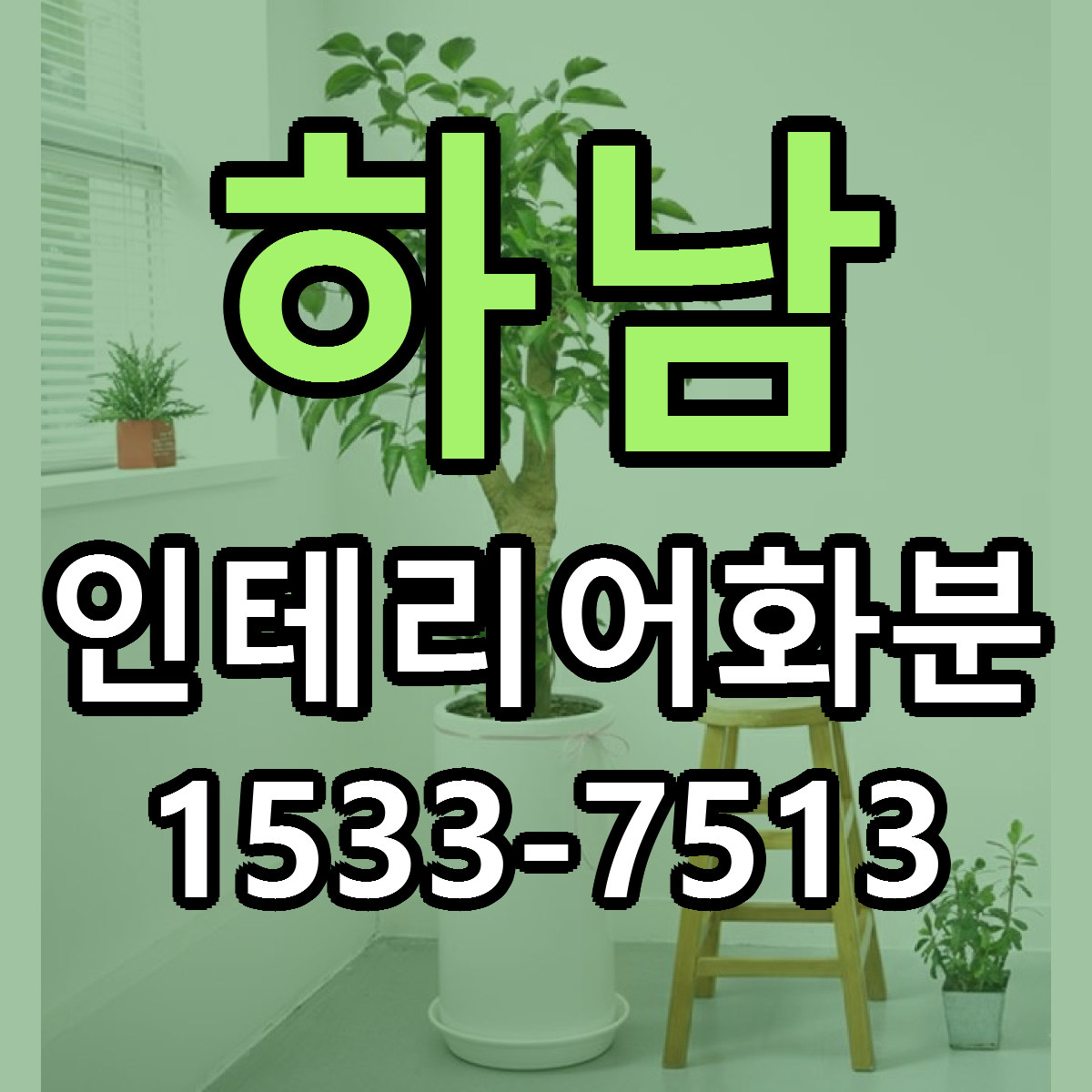 하남 인테리어화분 당일배송 싼곳 리본문구 안내