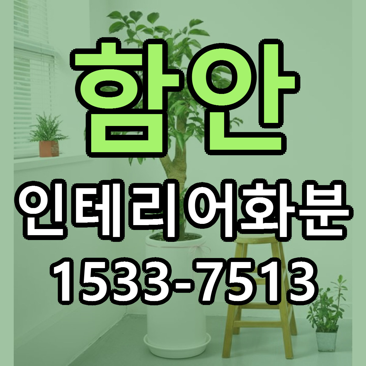 함안 인테리어화분 당일배송 가격 저렴한곳 추천