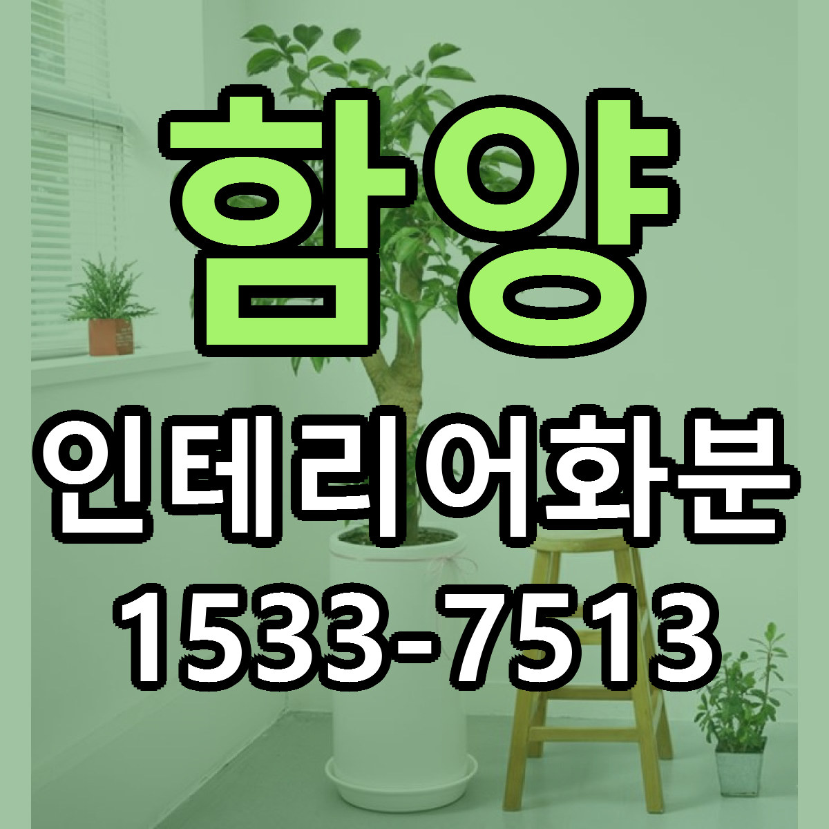 함양 인테리어화분 근처꽃집 가격 저렴한곳 안내