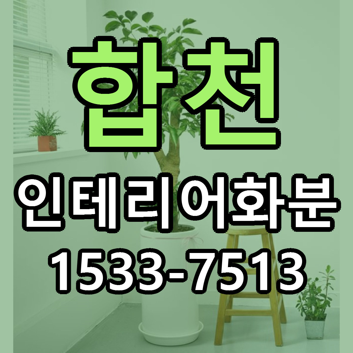 합천 인테리어화분 근처꽃집 가격 저렴한곳 안내
