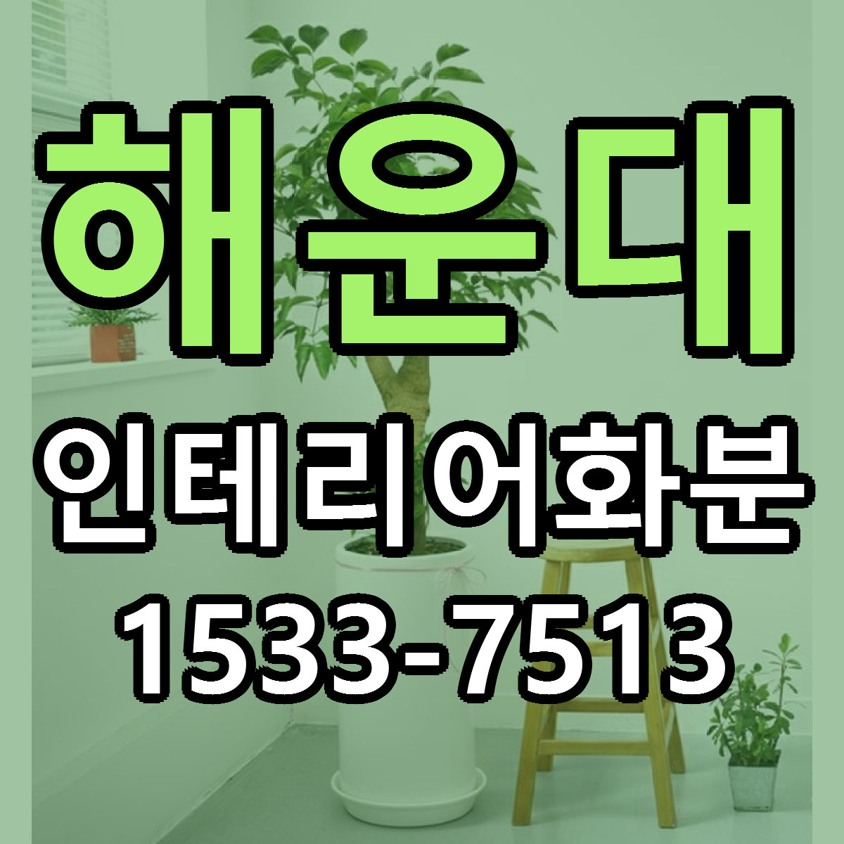 해운대 인테리어화분 근처꽃집 당일배송 싼곳 추천