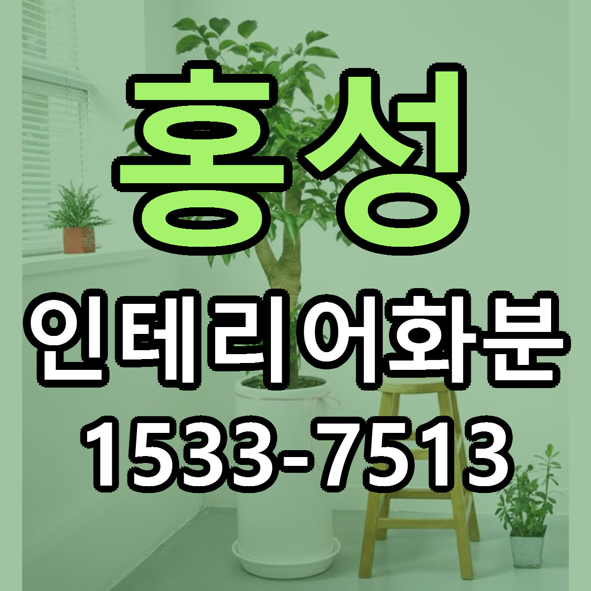 홍성 인테리어화분 당일배송 빠른배송 싼곳 찾기