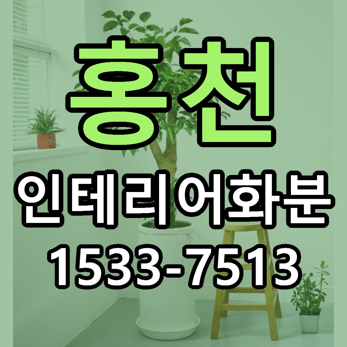 홍천 인테리어화분 빠른배송 저렴한곳 가격 정리