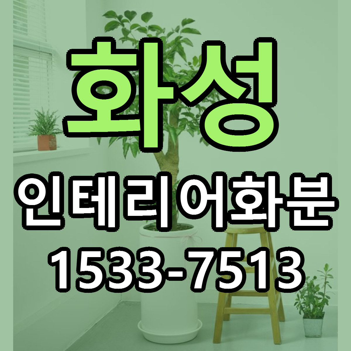 화성 인테리어화분 근처꽃집 빠른배송 가격 문의