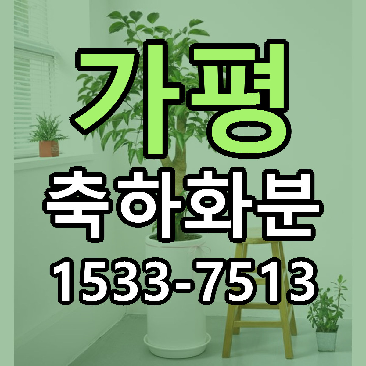 가평 축하화분 저렴한곳 당일배송 가격 만족