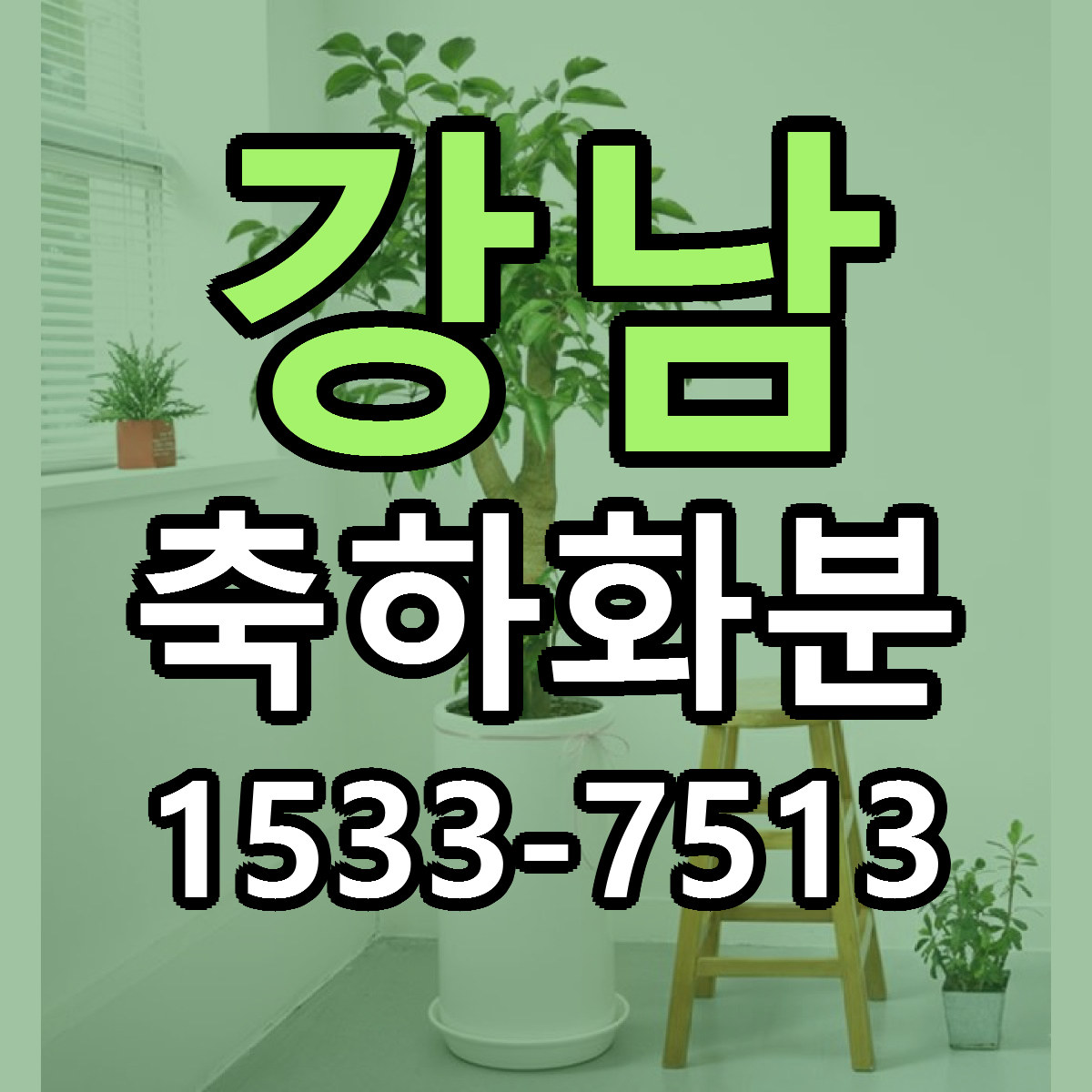 강남 축하화분 저렴한곳 당일배송 가격 만족