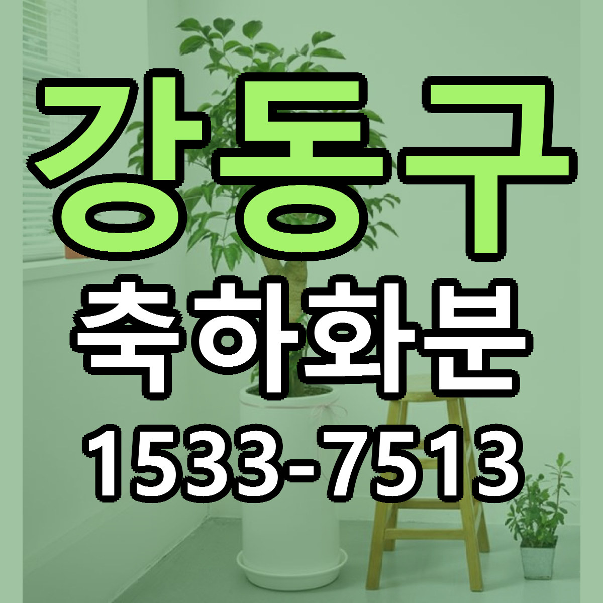 강동구 축하화분 리본문구 서비스 저렴한곳 빠른배송
