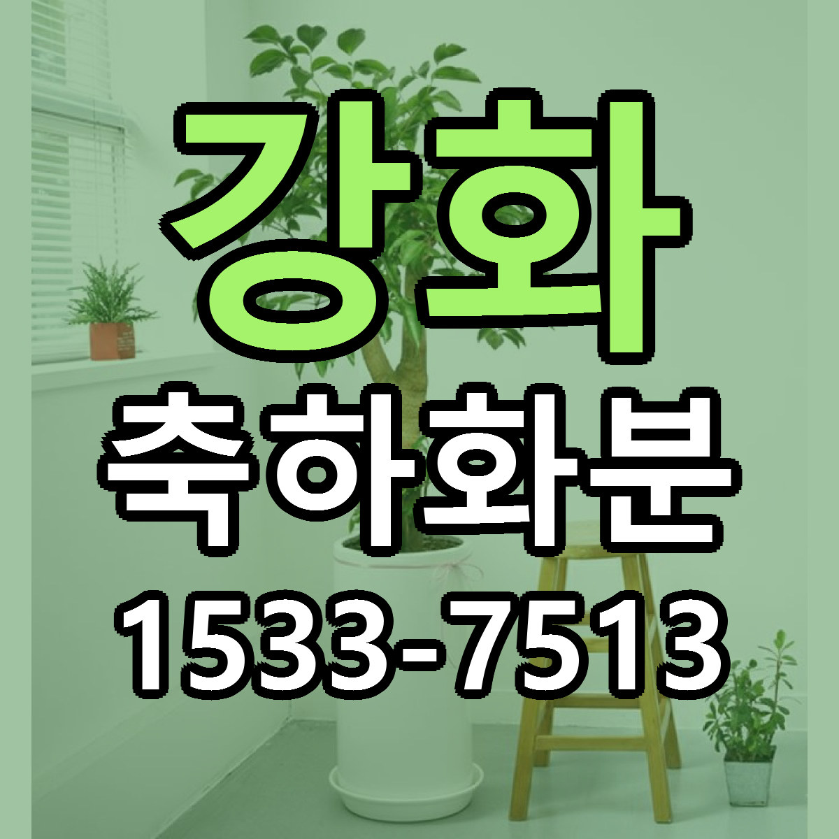 강화 축하화분 저렴한곳 당일배송 근처꽃집 추천