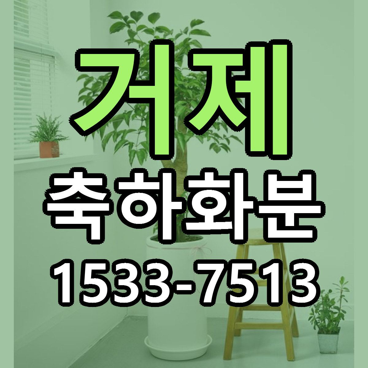 거제 축하화분 빠른배송 리본문구 근처꽃집 예약