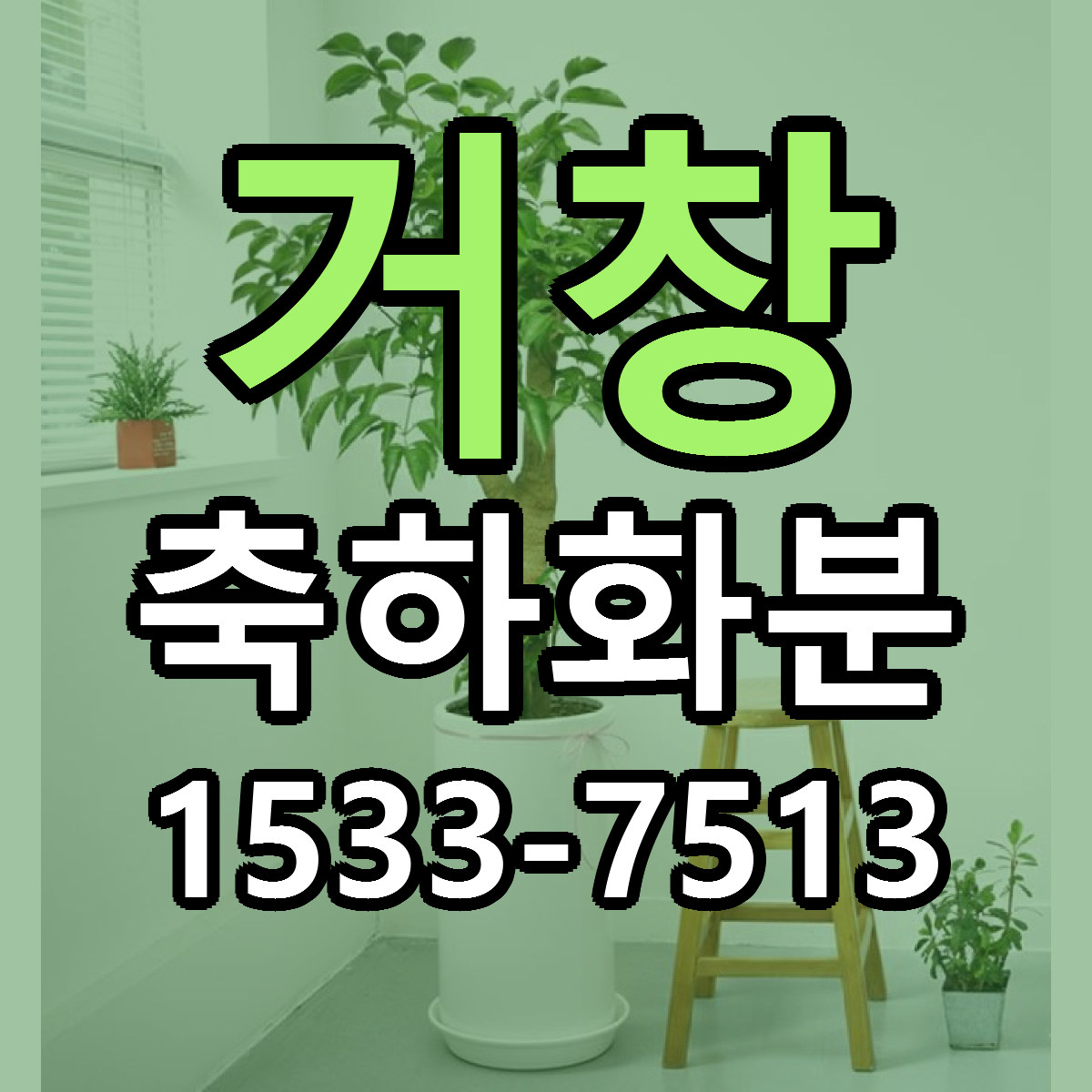 거창 축하화분 근처꽃집 당일배송 가격 안내