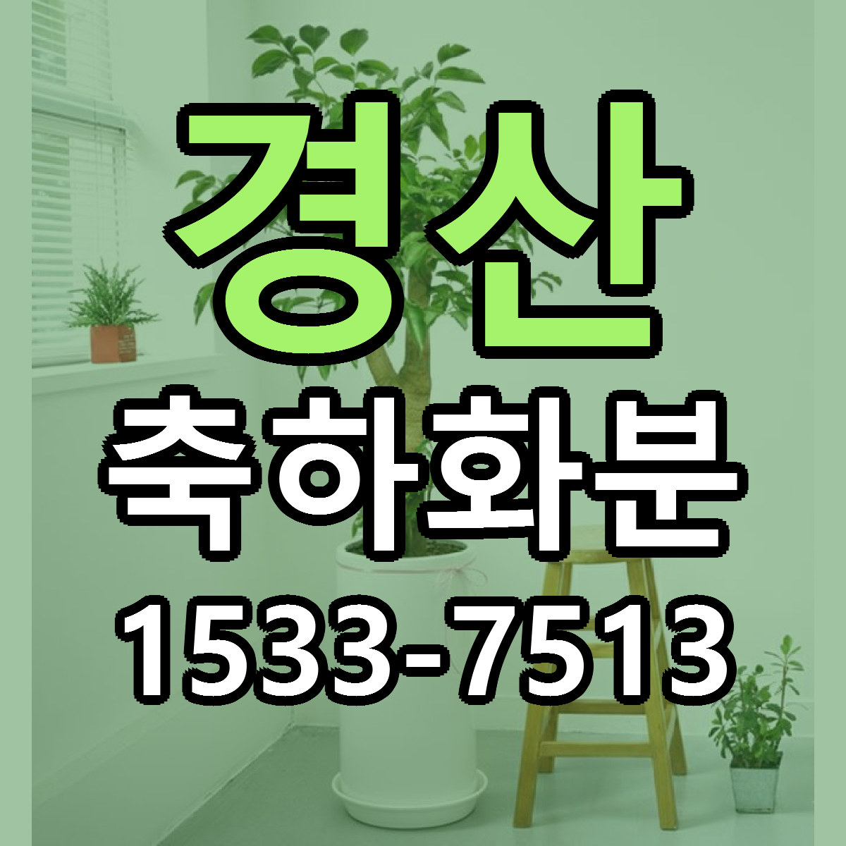 경산 축하화분 근처꽃집 당일배송 가격 안내