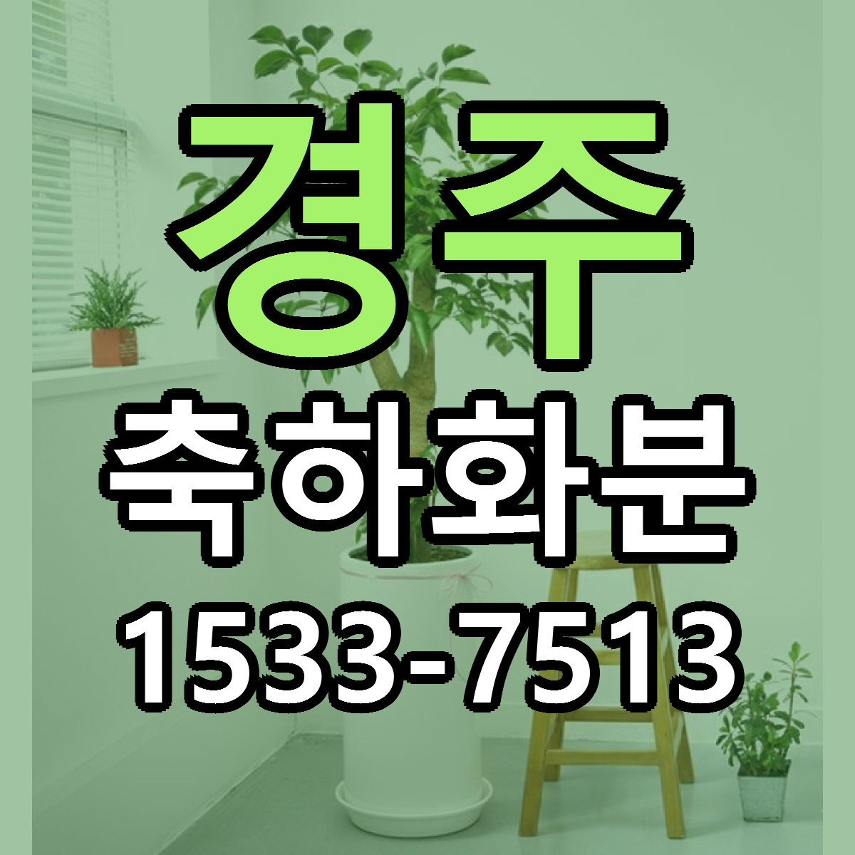 경주 축하화분 당일배송 빠른배송 싼곳 찾기