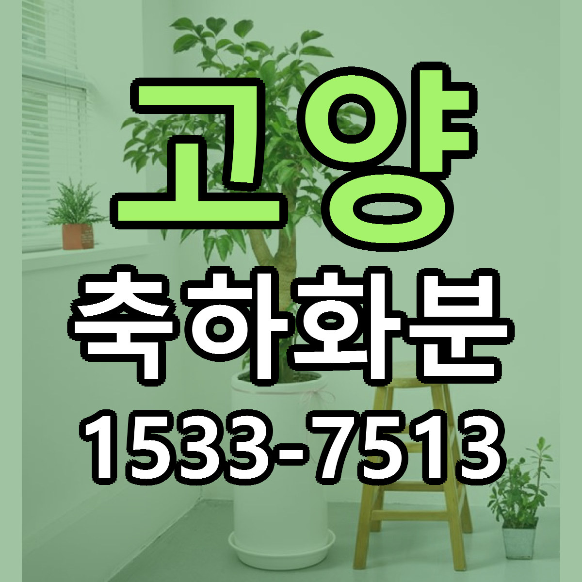고양 축하화분 당일배송 빠른배송 싼곳 찾기