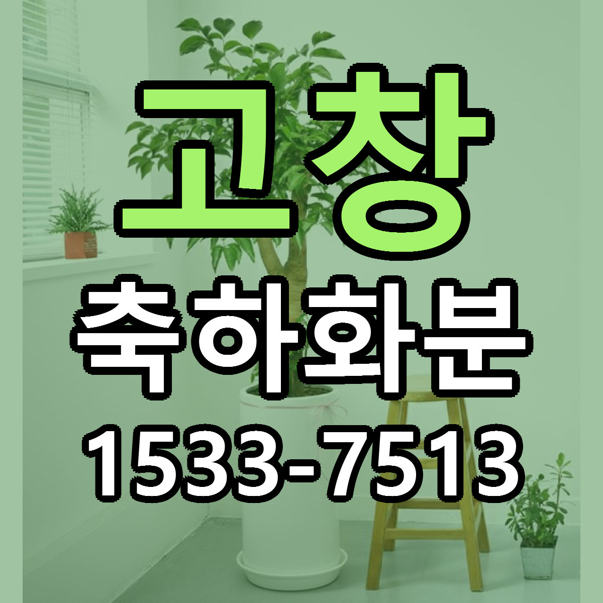 고창 축하화분 싼곳 당일배송 빠른배송 추천
