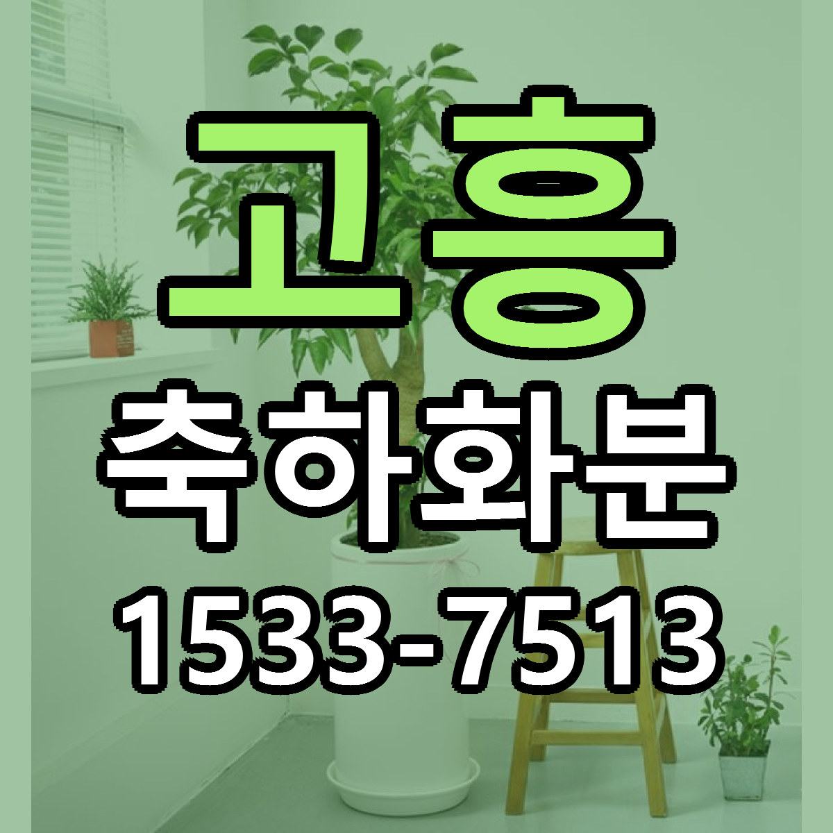 고흥 축하화분 가격 착한 싼곳 당일배송 안내