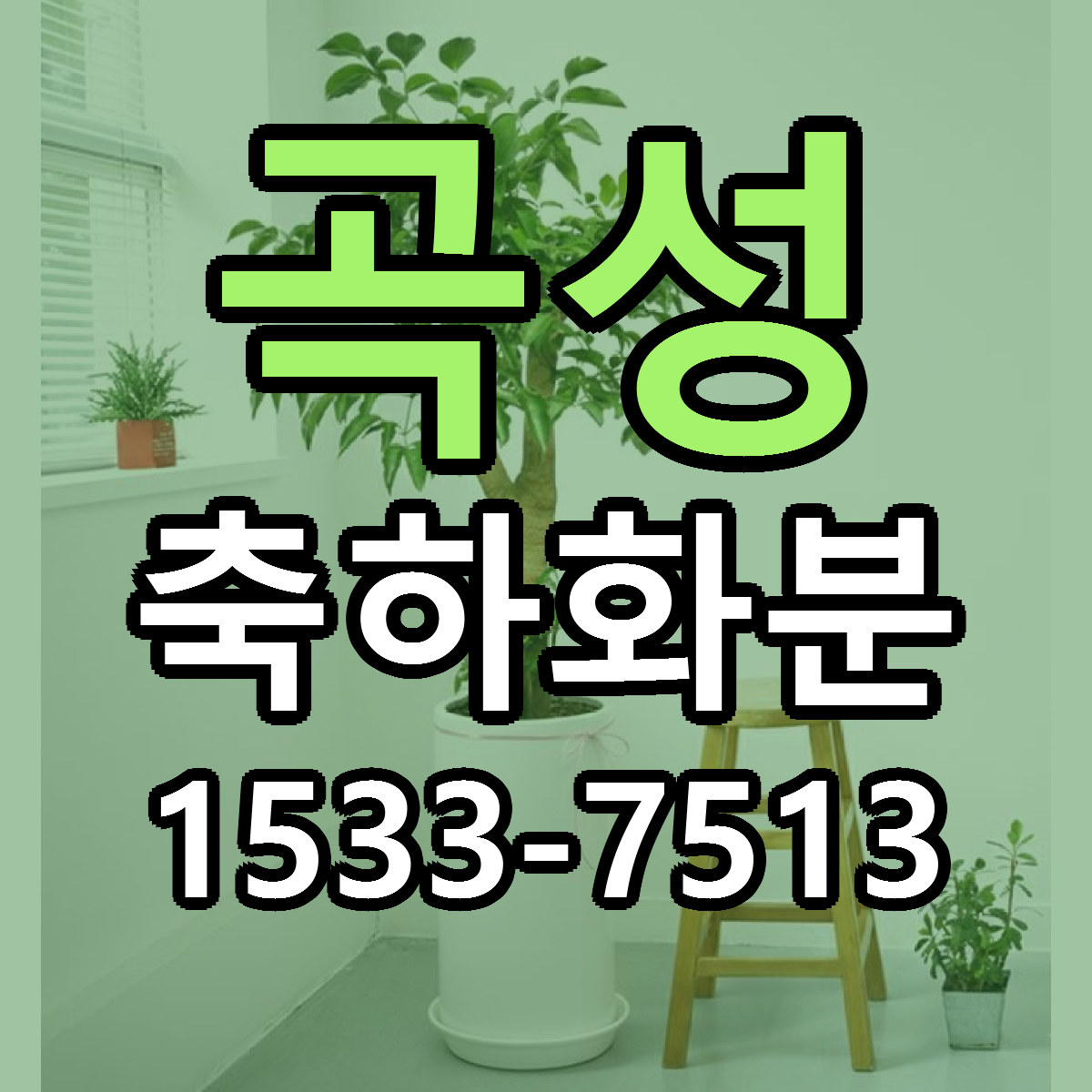 곡성 축하화분 빠른배송 가격 저렴한곳 찾기