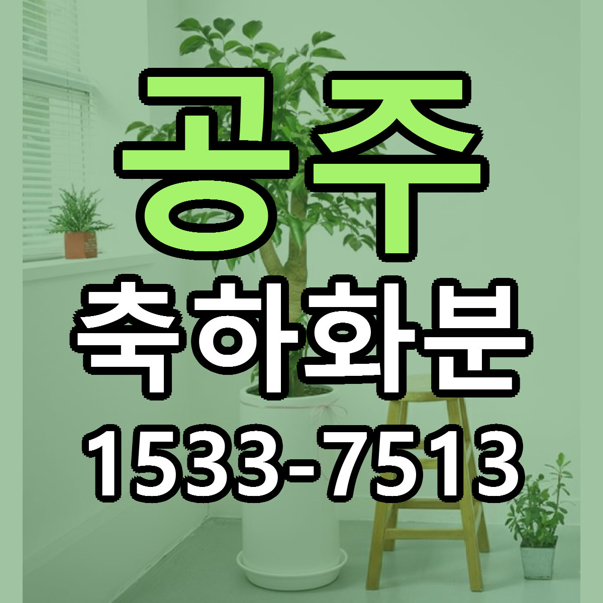 공주 축하화분 당일배송 리본문구 빠른배송 서비스