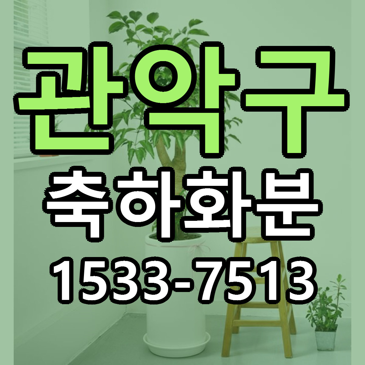 관악구 축하화분 당일배송 빠른배송 싼곳 찾기