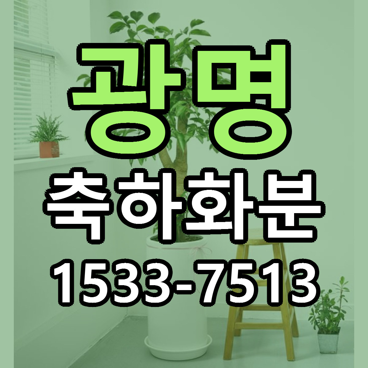 광명 축하화분 근처꽃집 가격 저렴한곳 안내