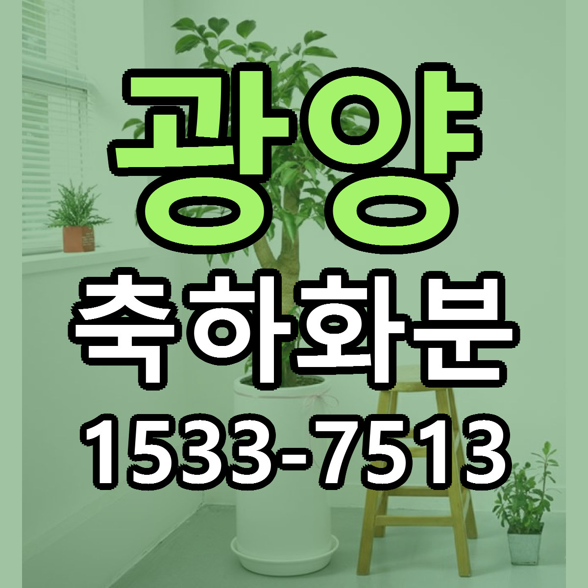 광양 축하화분 리본문구 서비스 저렴한곳 빠른배송