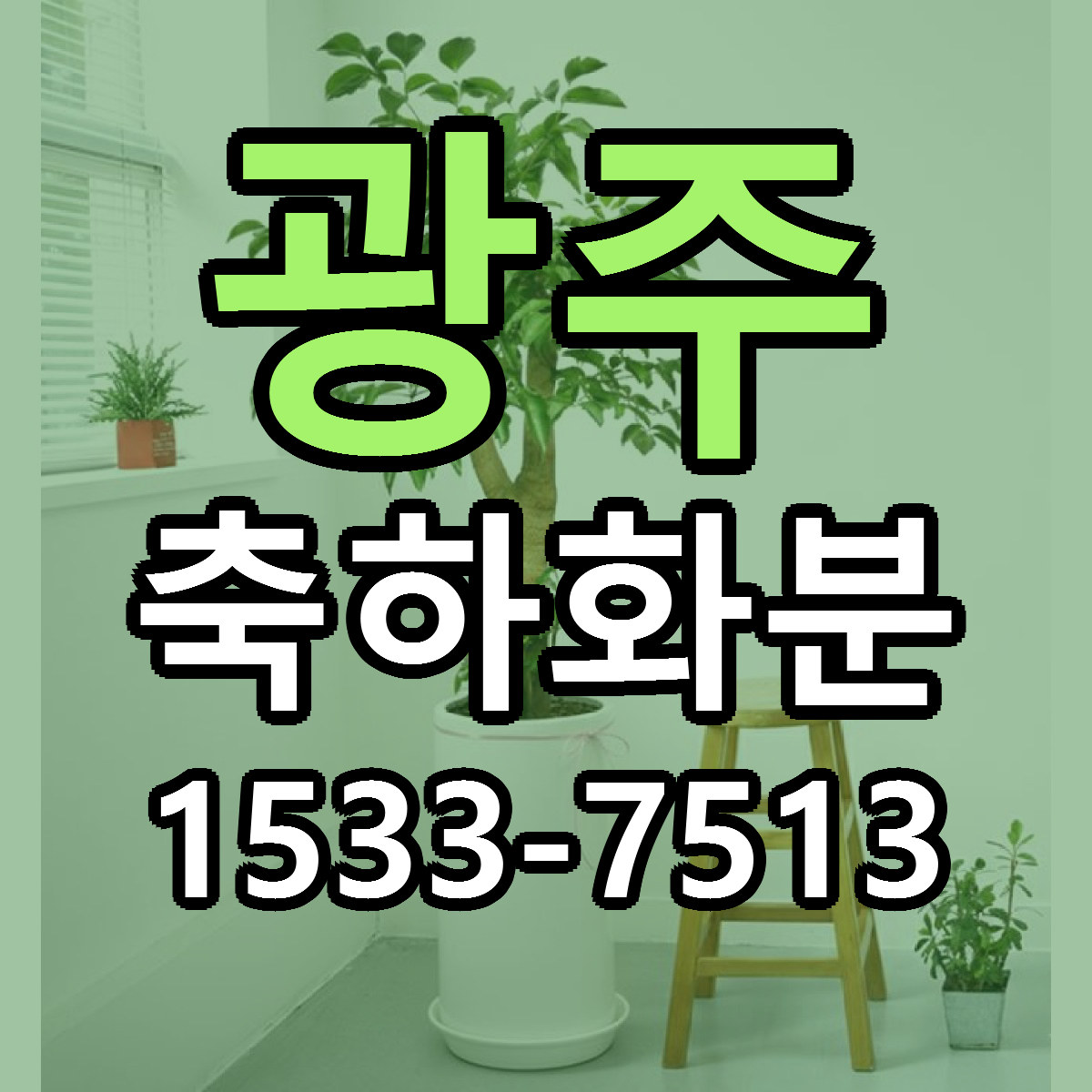 광주 축하화분 저렴한곳 당일배송 근처꽃집 추천