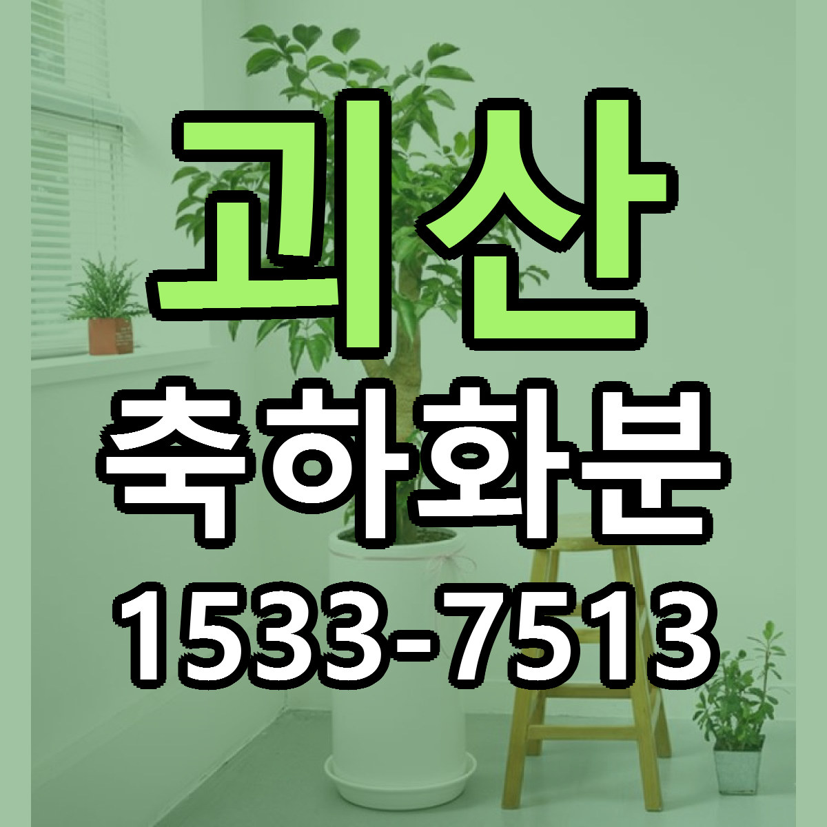 괴산 축하화분 빠른배송 근처꽃집 가격 비교