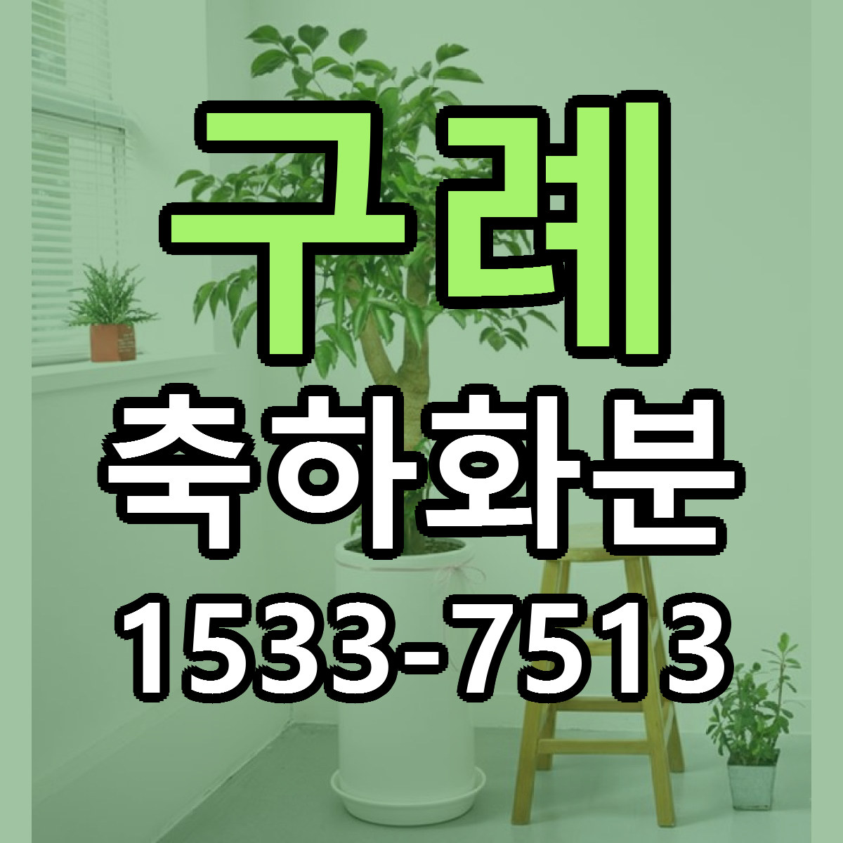 구례 축하화분 가격 만족 저렴한곳 리본문구 작성