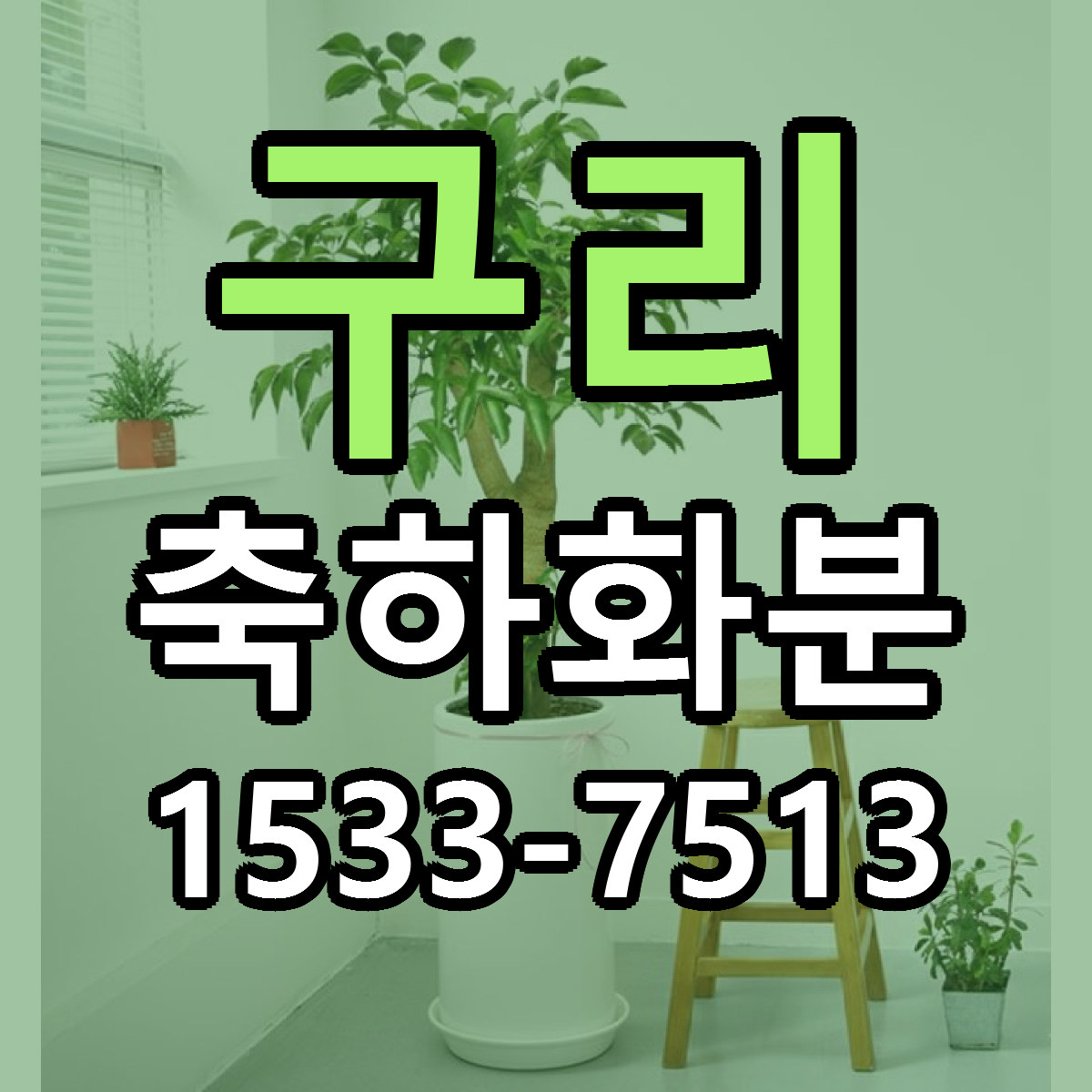 구리 축하화분 빠른배송 근처꽃집 가격 비교