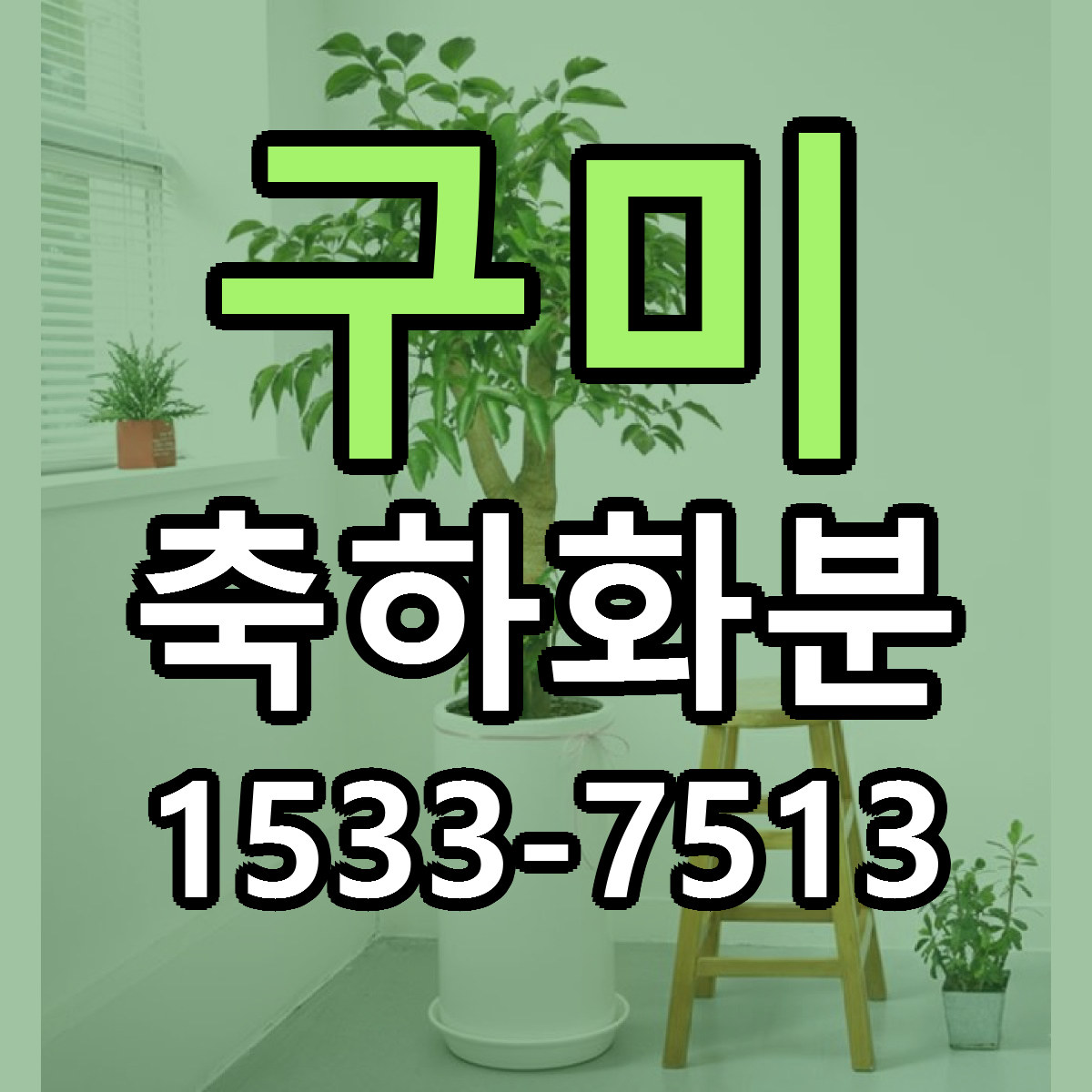 구미 축하화분 리본문구 싼곳 빠른배송 예약