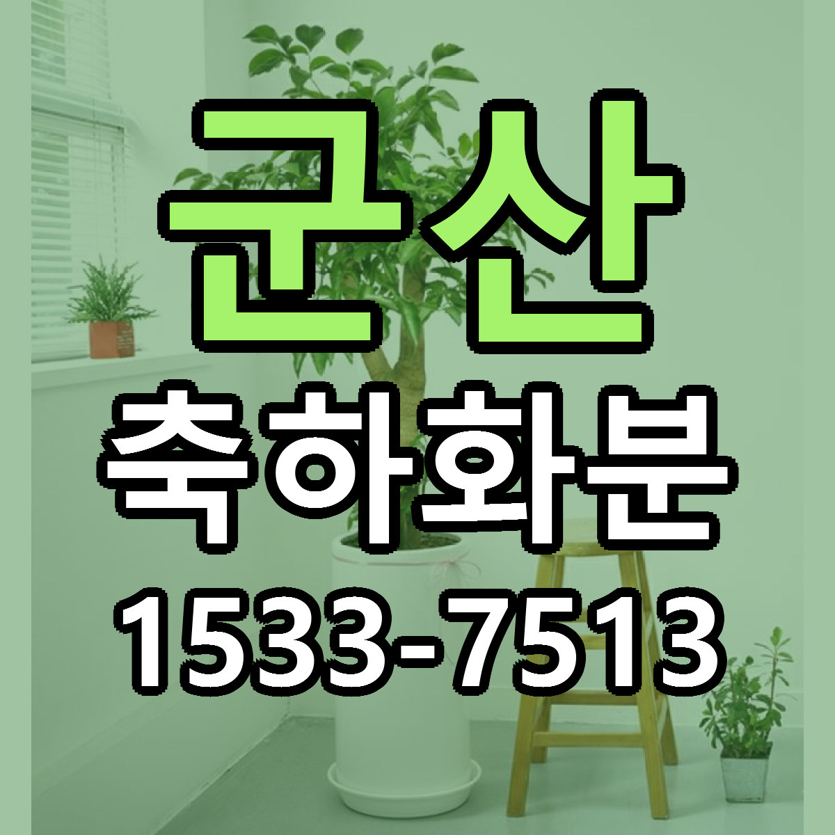 군산 축하화분 빠른배송 근처꽃집 가격 비교