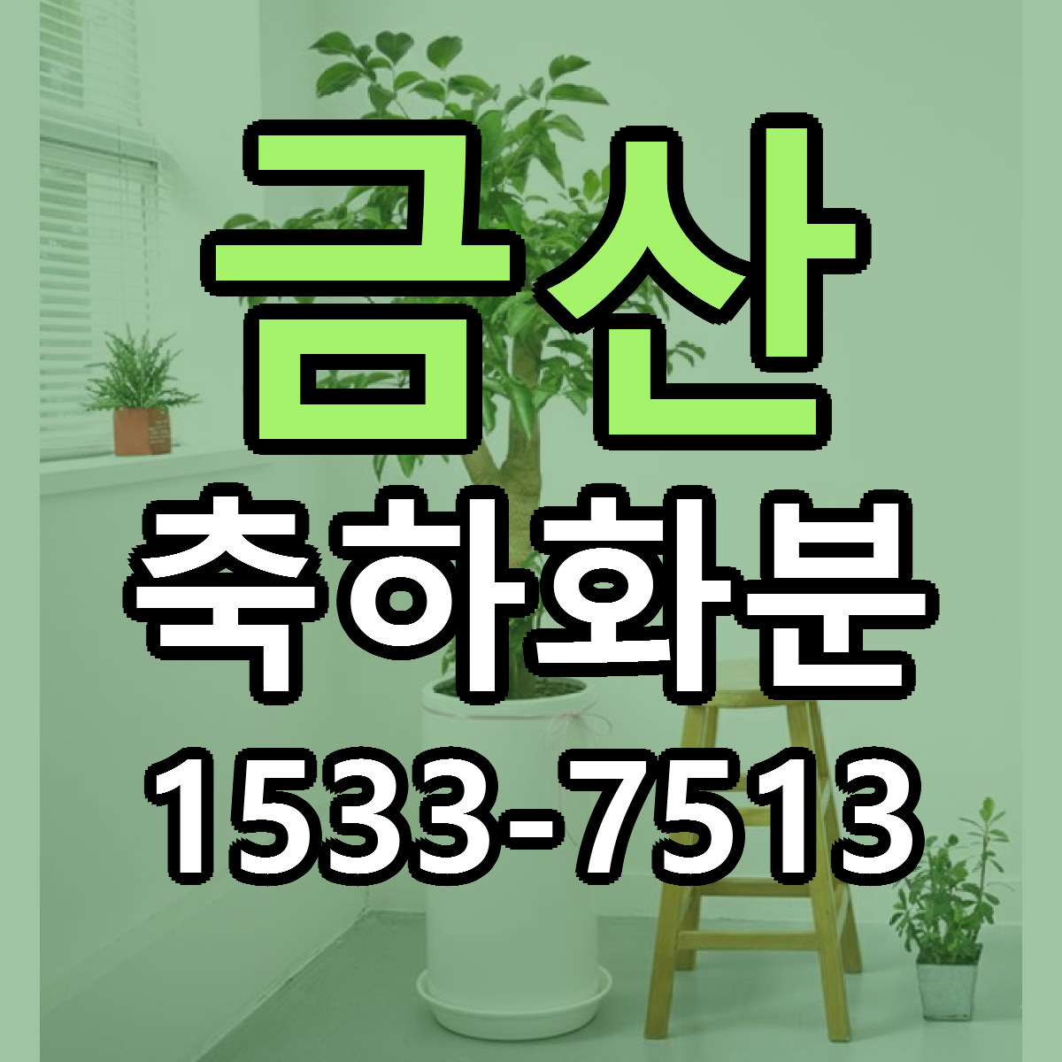 금산 축하화분 빠른배송 가격 저렴한곳 찾기