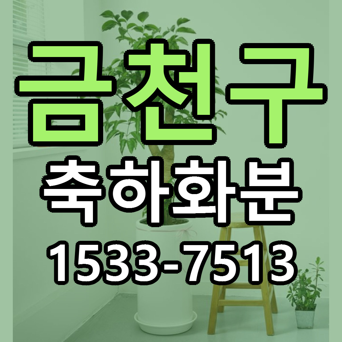 금천구 축하화분 빠른배송 가격 저렴한곳 찾기