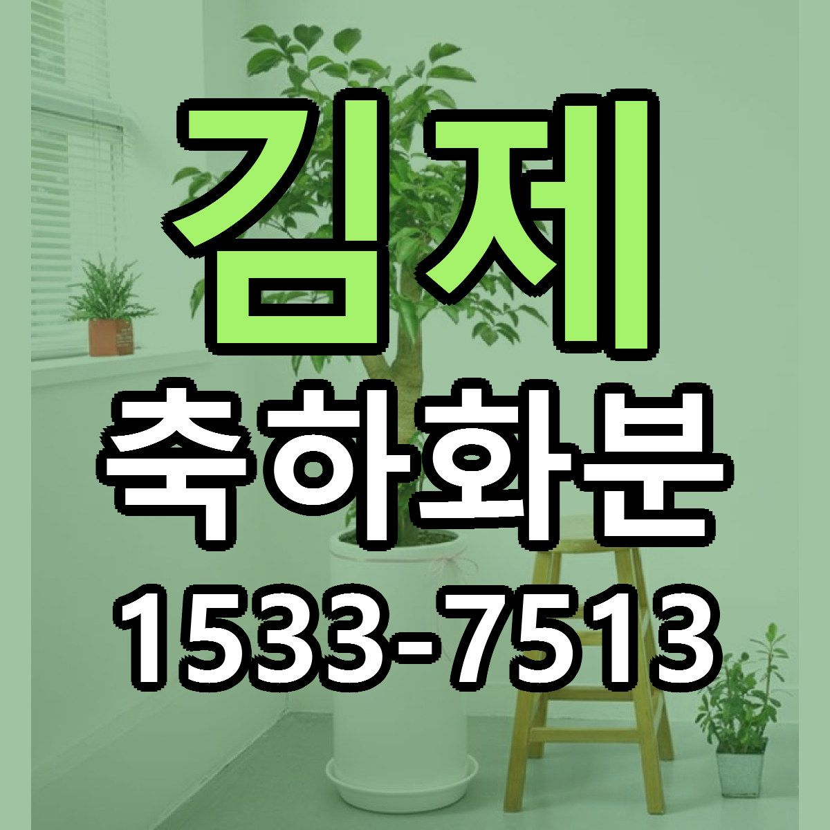 김제 축하화분 싼곳 빠른배송 리본문구 무료