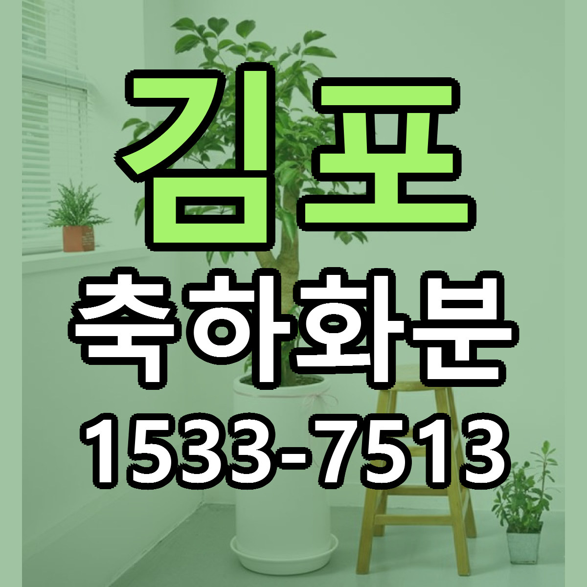 김포 축하화분 리본문구 서비스 저렴한곳 빠른배송