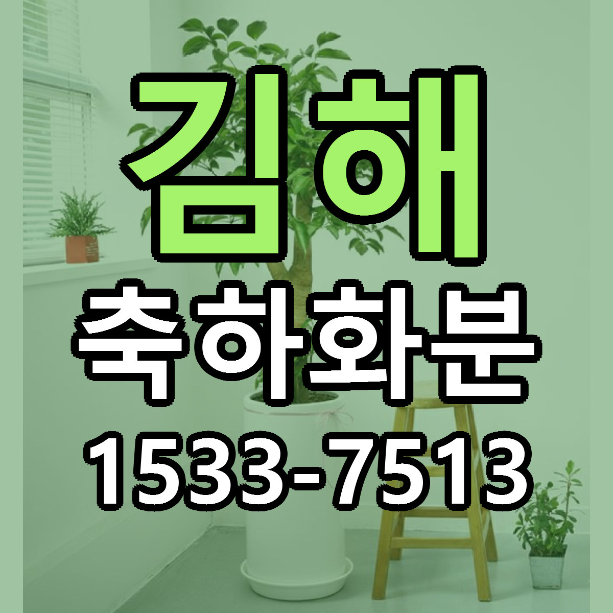김해 축하화분 빠른배송 가격 저렴한곳 찾기