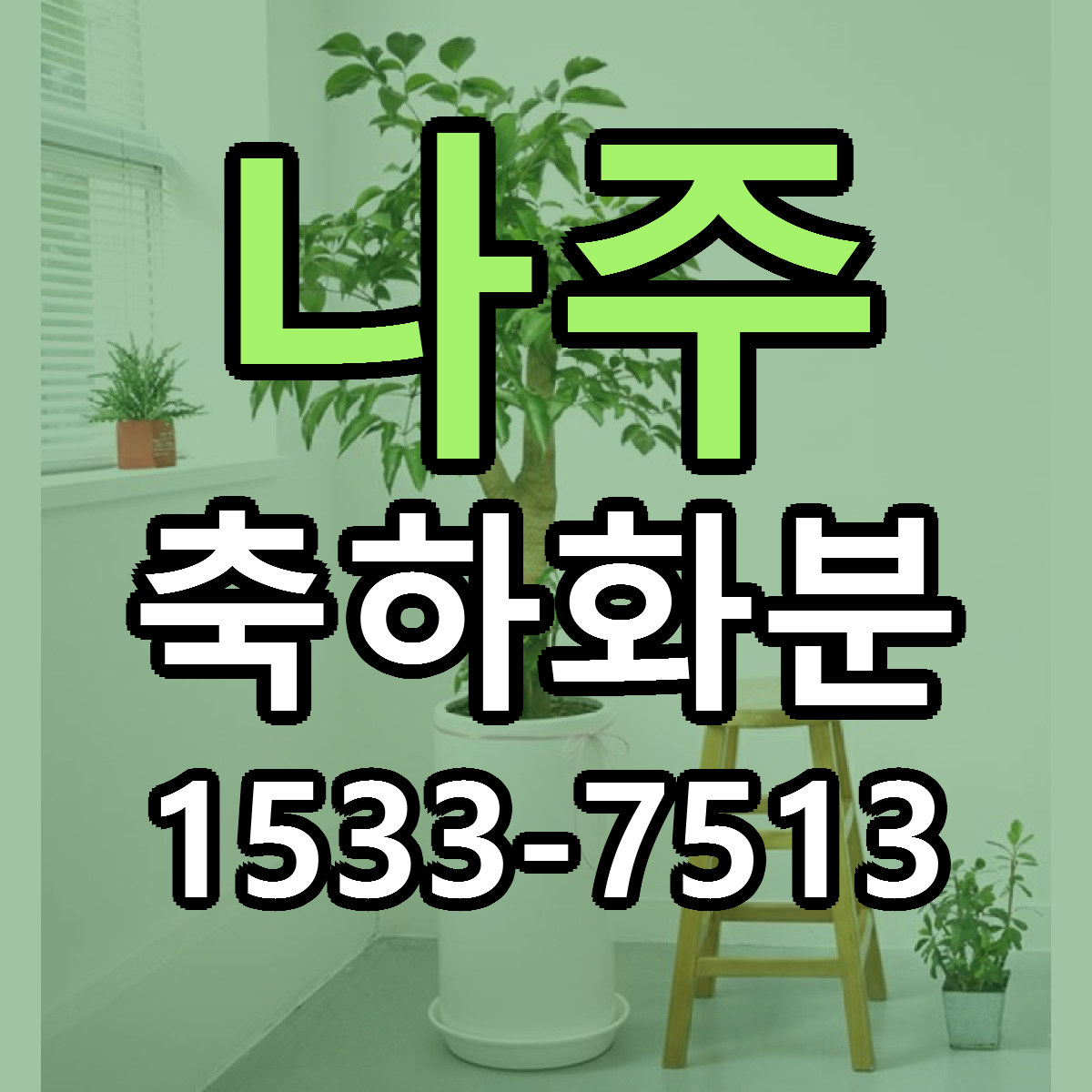 나주 축하화분 빠른배송 가격 저렴한곳 찾기