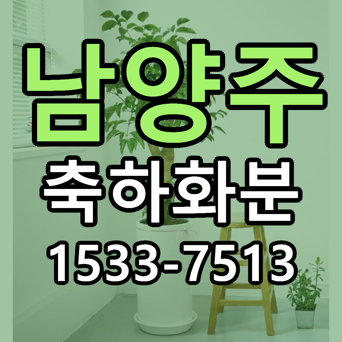 남양주 축하화분 싼곳 당일배송 빠른배송 추천