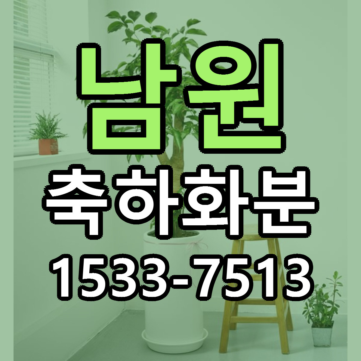 남원 축하화분 빠른배송 가격 저렴한곳 찾기