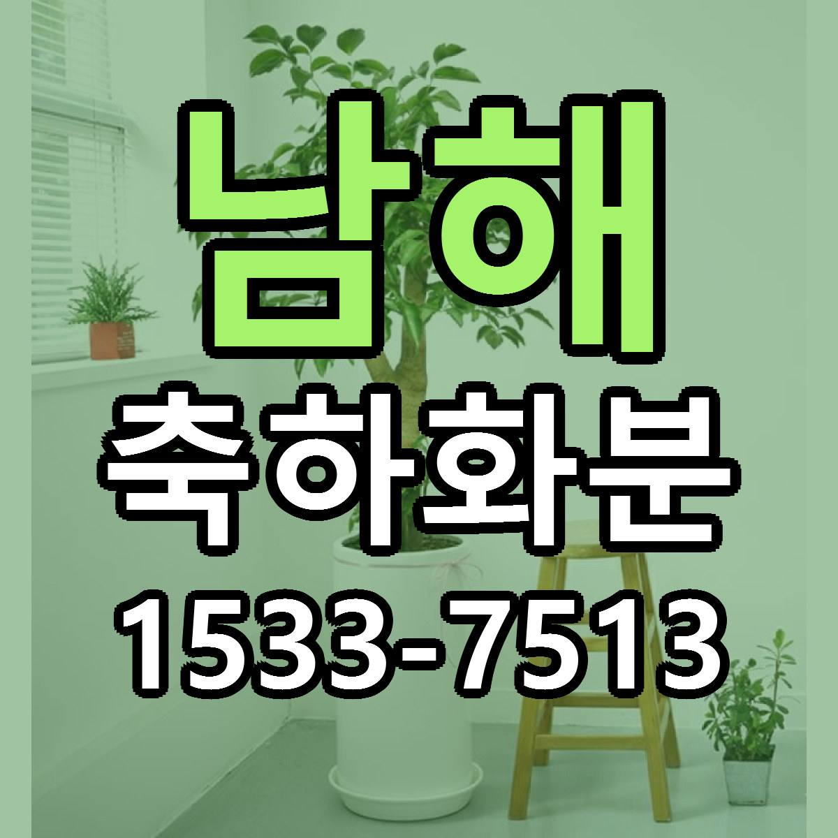 남해 축하화분 빠른배송 리본문구 가격 알뜰 비교