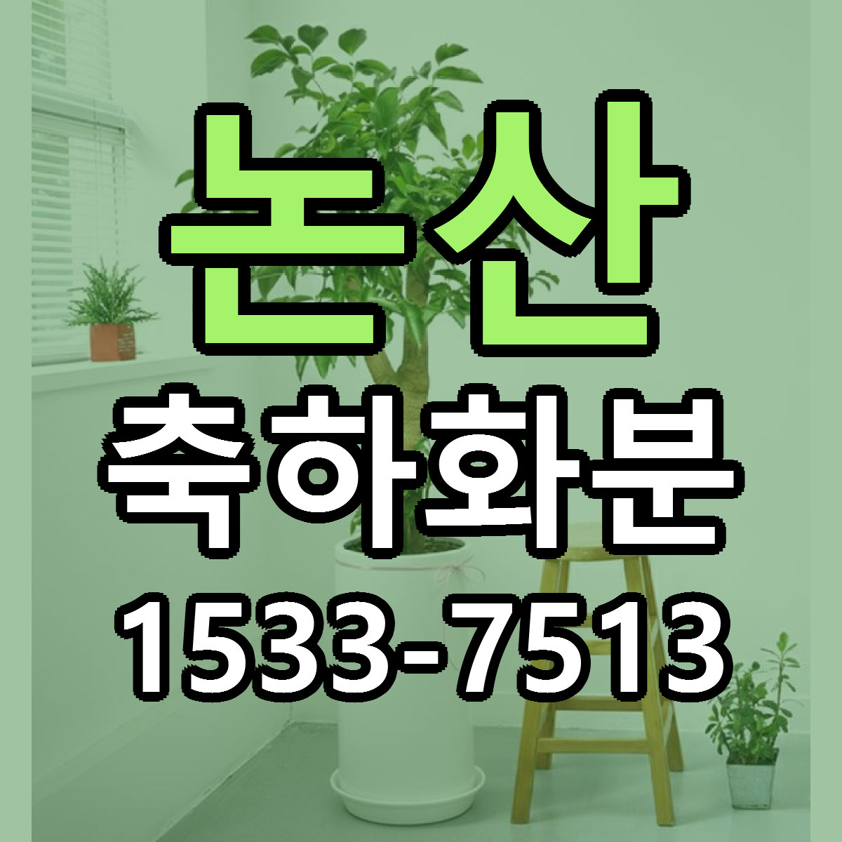 논산 축하화분 리본문구 근처꽃집 저렴한곳 예약