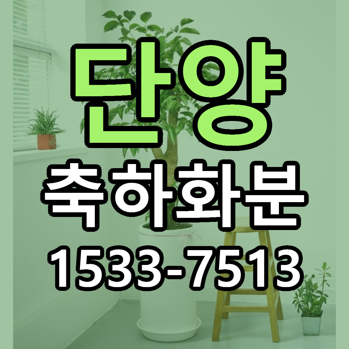 단양 축하화분 당일배송 저렴한곳 리본문구 추천