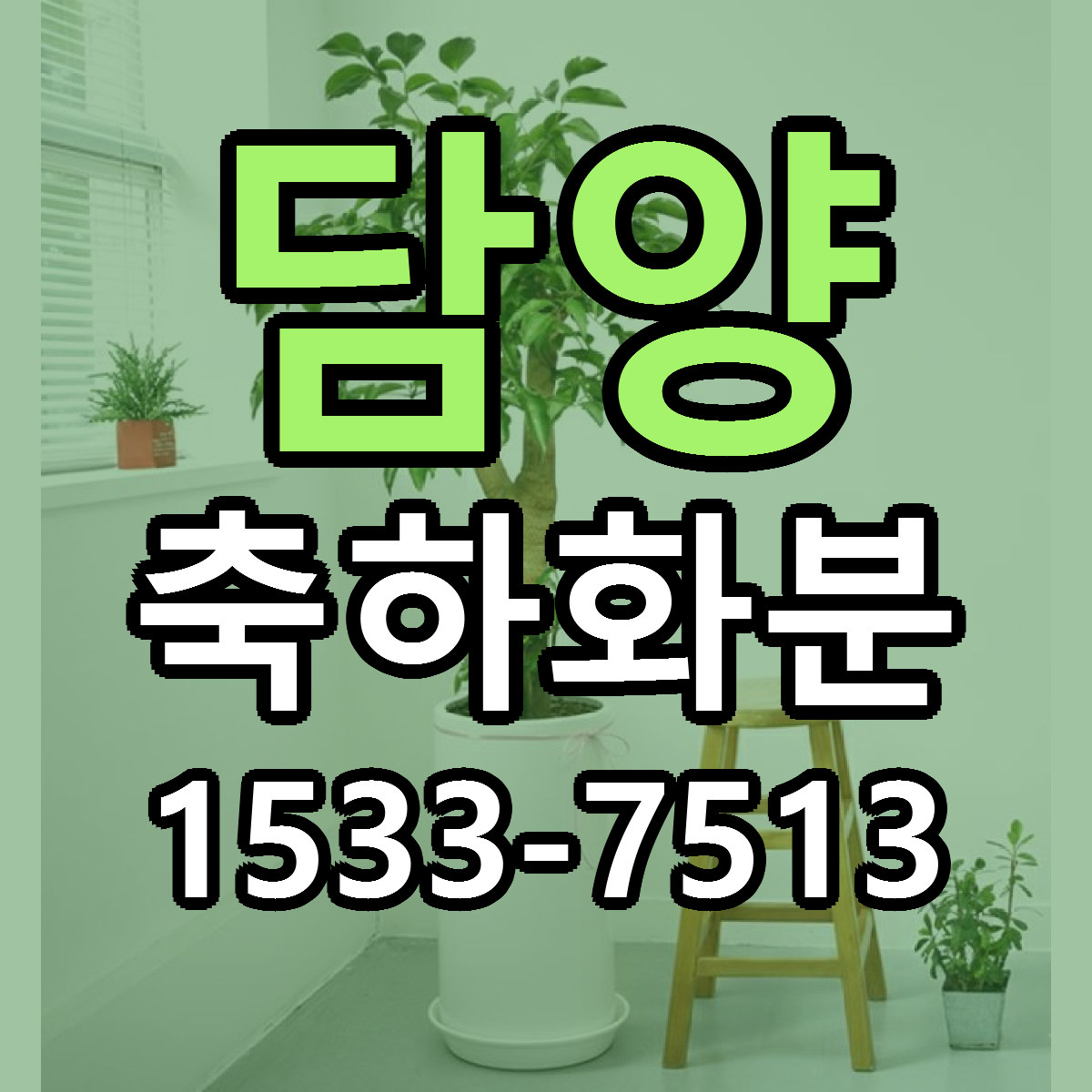 담양 축하화분 싼곳 당일배송 리본문구 작성