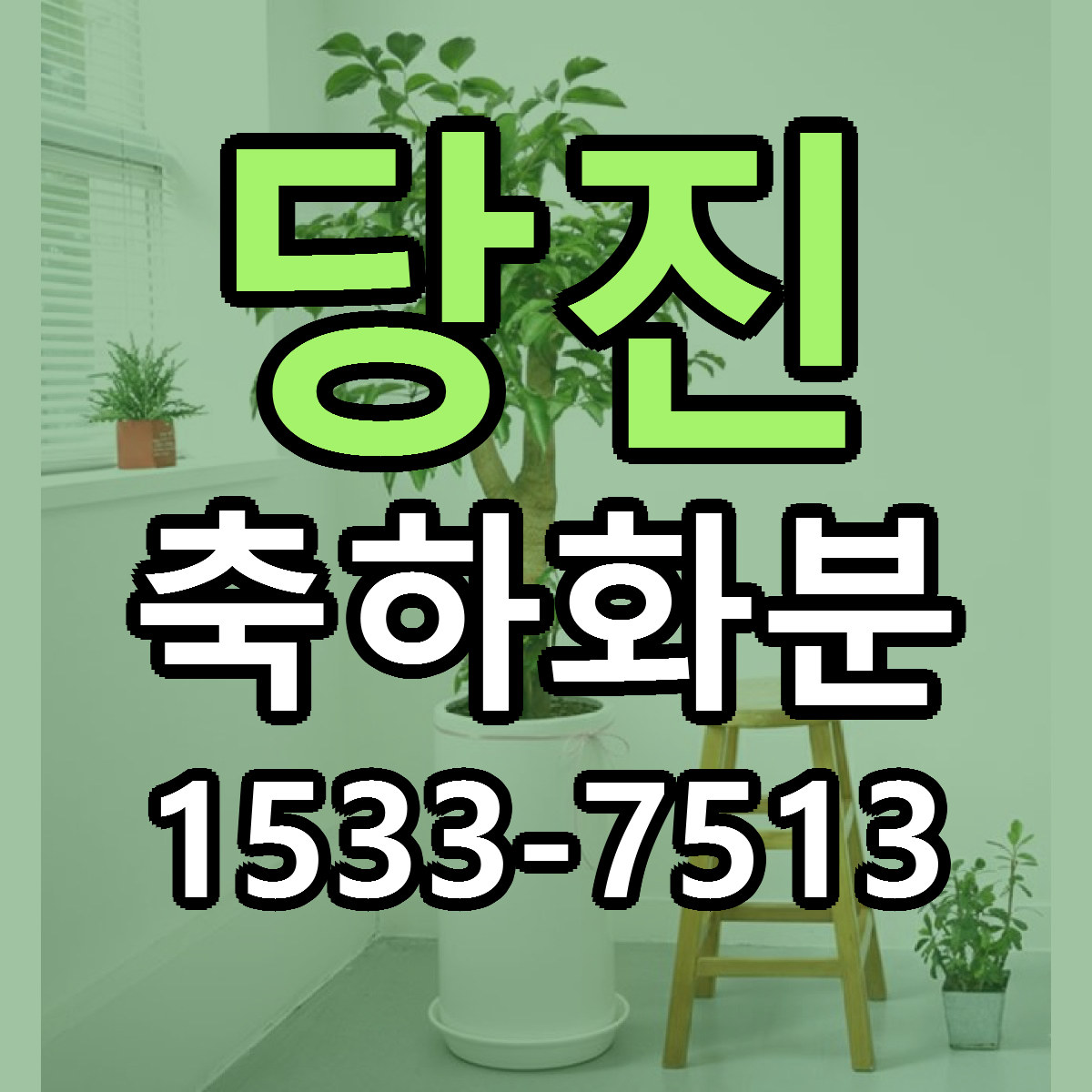 당진 축하화분 싼곳 당일배송 리본문구 작성