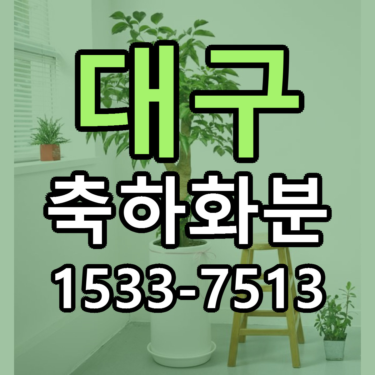 대구 축하화분 근처꽃집 싼곳 빠른배송 안내